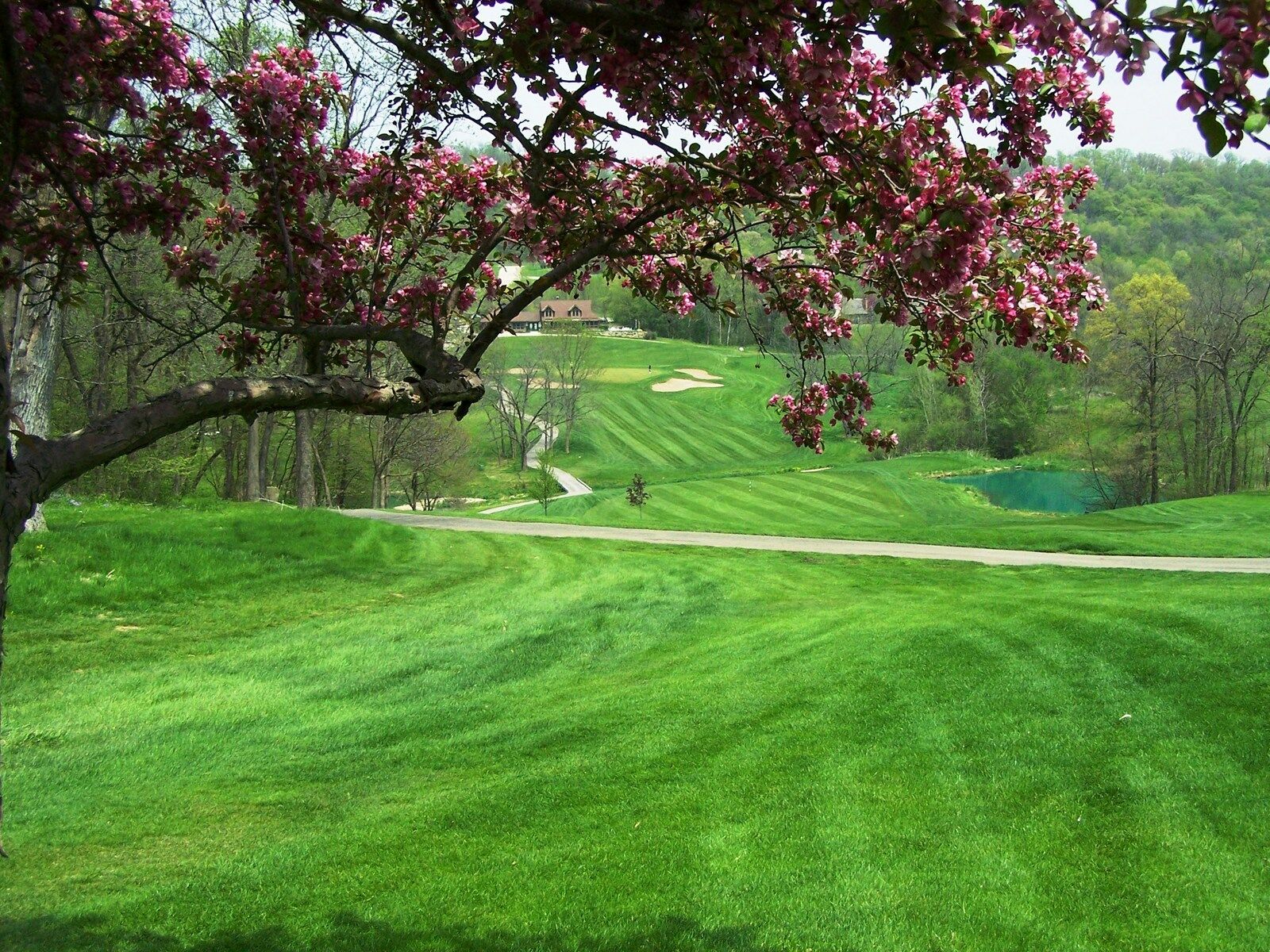 Eagle Ridge Resort And Spa 加利纳 外观 照片